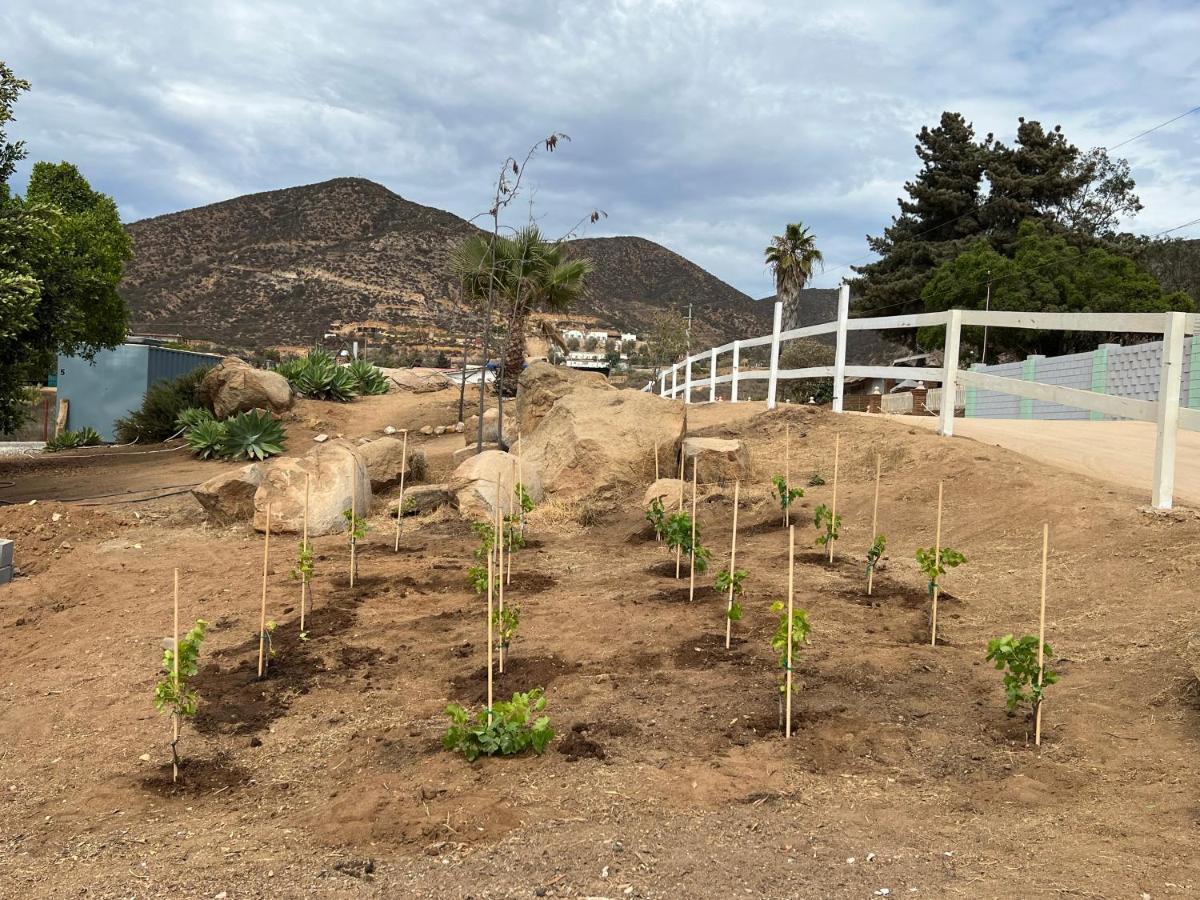 Ecovino Valle De Guadalupe Eksteriør bilde